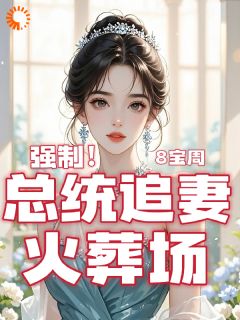 强制!总统追妻火葬场