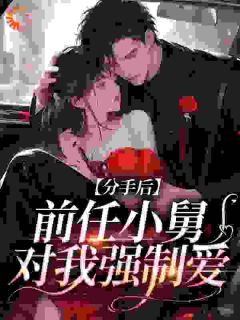 前任小舅是疯批,沈小姐囚宠难逃