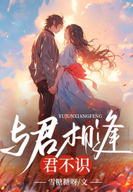 与君相逢君不识小说最新章节免费试读（完整版未删节）