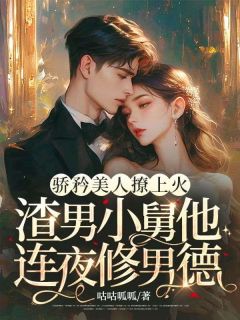 骄矜美人撩上火,渣男小舅他连夜修男德