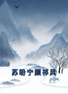 苏盼宁顾祁风小说大结局在线阅读 苏盼宁顾祁风小说免费试读