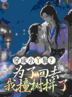 我意外穿到了古代,还成了个小丫鬟