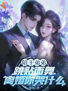 陪干弟弟跳贴面舞，离婚你哭什么免费试读(陆辰苏雨霏小说全本资源) 无广告