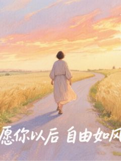愿你从此，自由如风霍砚辞林晚棠江沉舟小说阅读_愿你从此，自由如风文本在线阅读