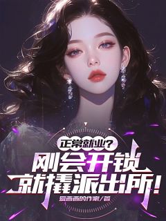 正常就业?刚会开锁就撬派出所!