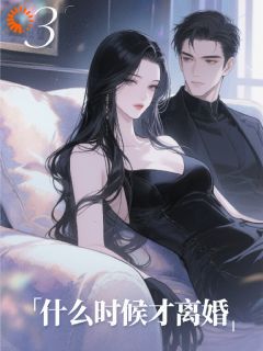 什么时候才离婚全章节免费在线阅读 虞清傅寒清小说完结版