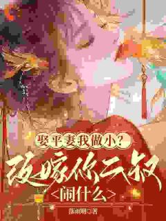 娶平妻我做小?改嫁你二叔闹什么
