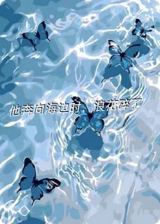 他奔向海边时,浪花碎了