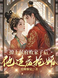 撩上侯府败家子后,他连夜抢婚