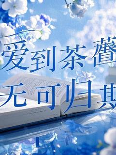 爱到荼蘼，无可归期乔念安林烬小说阅读_爱到荼蘼，无可归期文本在线阅读