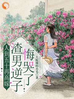 人到五十再高嫁，渣男逆子悔哭了全章节免费试读 主角吴晓辉王慧芳完结版