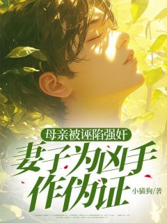 父亲被诬陷强奸，丈夫为凶手作伪证苏念悠宋城小说全本在线阅读