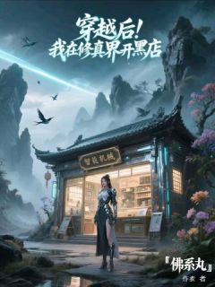 穿越后,我在修真界开黑店