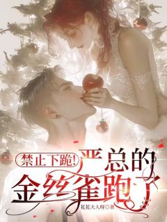 禁止下跪!严总的金丝雀跑了