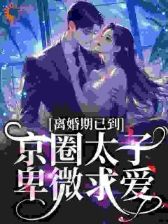 《离婚期已到！京圈太子卑微求爱》沈青瓷席星野小说全本在线阅读