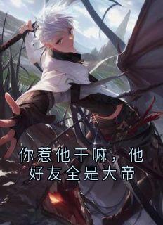 你惹他干嘛，他好友全是大帝小说全集免费在线阅读（苏牧白秋雪）