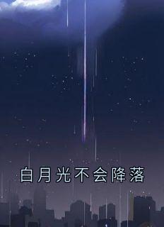 白月光不会降落苏落许祈白全文在线免费试读