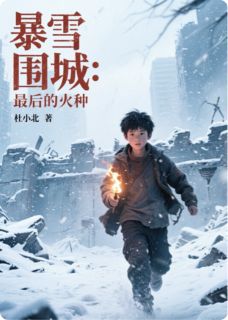 暴雪围城：最后的火种小说完整版在线阅读（主角林宇陈雪）