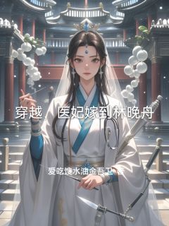穿越,医妃嫁到林晚舟