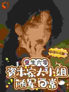 重生六零，资本家大小姐随军日常沈棠溪顾文远全本大结局阅读