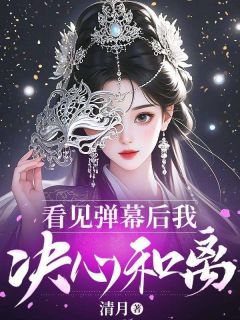 《看见弹幕后我决心和离》小说全集免费在线阅读（陆聿风叶卿卿）