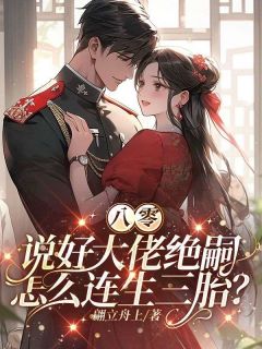 宋丽丽高宇小说《八零：说好大佬绝嗣，怎么连生三胎？》全文及大结局精彩试读