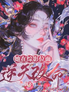 魏嬿婉进忠小说章节目录 她在综影位面逆天改命全文阅读