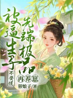 被逼生子不要慌，先踹极品再养崽罗叶凌小宸晟免费在线全文阅读