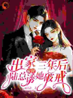 孤女上山后，疯批陆少堵门逼她还俗许初颜陆瑾州小说_孤女上山后，疯批陆少堵门逼她还俗小说章节
