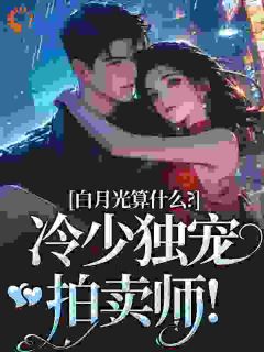流产后出国，他拿着孕检单找疯了小说全集免费在线阅读（宋词慕景川）