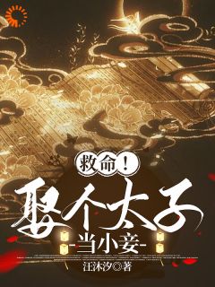救命!娶个太子当小妾!