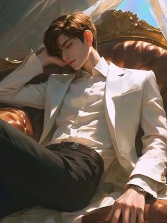 我与晚风，皆不归你完整小说目录在线阅读 (唐婉江天翼) 大结局无弹窗