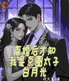 《离婚后才知我是京圈太子白月光》小说全集免费在线阅读（陆晚星宋哲轩）