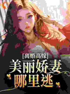 离婚后,闪婚京圈大佬