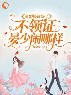 时苒晏承南小说叫什么_离婚协议签了不领证，晏少闹哪样小说