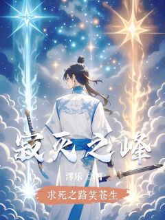 《寂灭之峰》苏澪贺云璃小说精彩章节在线阅读