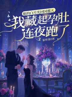 他的白月光回国那天，我藏起孕肚连夜跑了林盛夏赫连槿全文在线免费试读