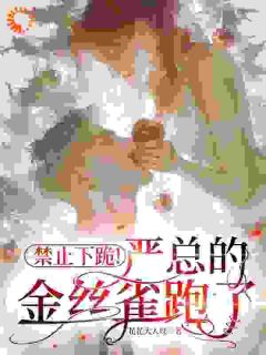 娱乐公司想榨我？老板却私下求复合全本资源 苏简严少彦完整未删减版