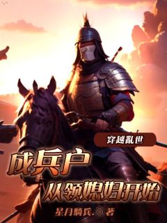 娶妻变强,我在大梁无敌了