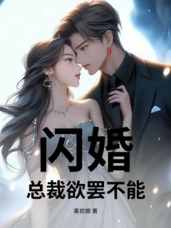 闪婚,总裁欲罢不能