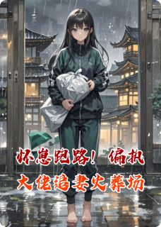 怀崽跑路!偏执大佬追妻火葬场