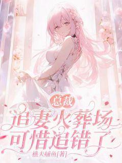 总裁追妻火葬场,可惜追错了