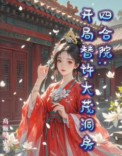 四合院:开局替许大茂洞房