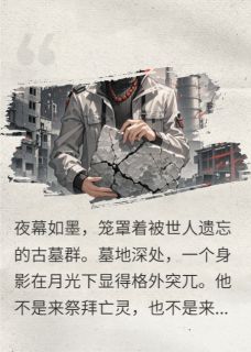 永夜之谜：轮回的盗墓者完整小说目录在线阅读 (林烨洛璃) 大结局无弹窗