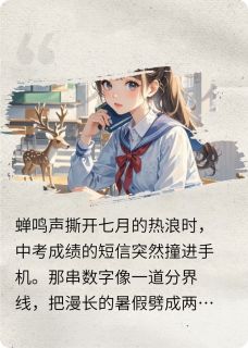 《盛夏的夏天》小说完整版在线阅读（主角苏晚棠谢清越）