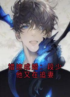 错撩成婚:段少他又在追妻