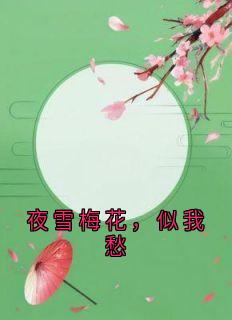 夜雪梅花,似我愁