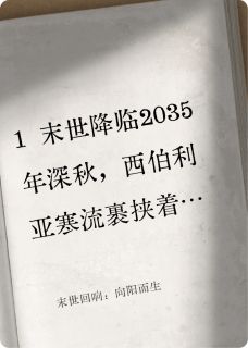 末世回响:向阳而生