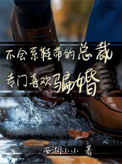 不会系鞋带的总裁,专门喜欢骗婚