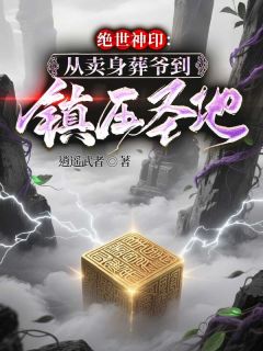 《绝世神印：从卖身葬爷到镇压圣地》小说全文精彩章节在线阅读（叶二叶城南小霸）